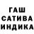 Конопля сатива Puujee Erdenebat