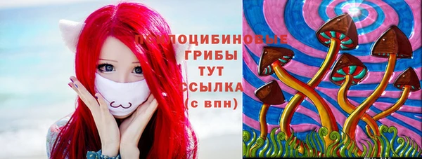 амф Видное
