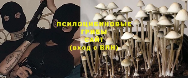 индика Ветлуга
