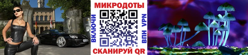 наркотики  Руза  Псилоцибиновые грибы мицелий 